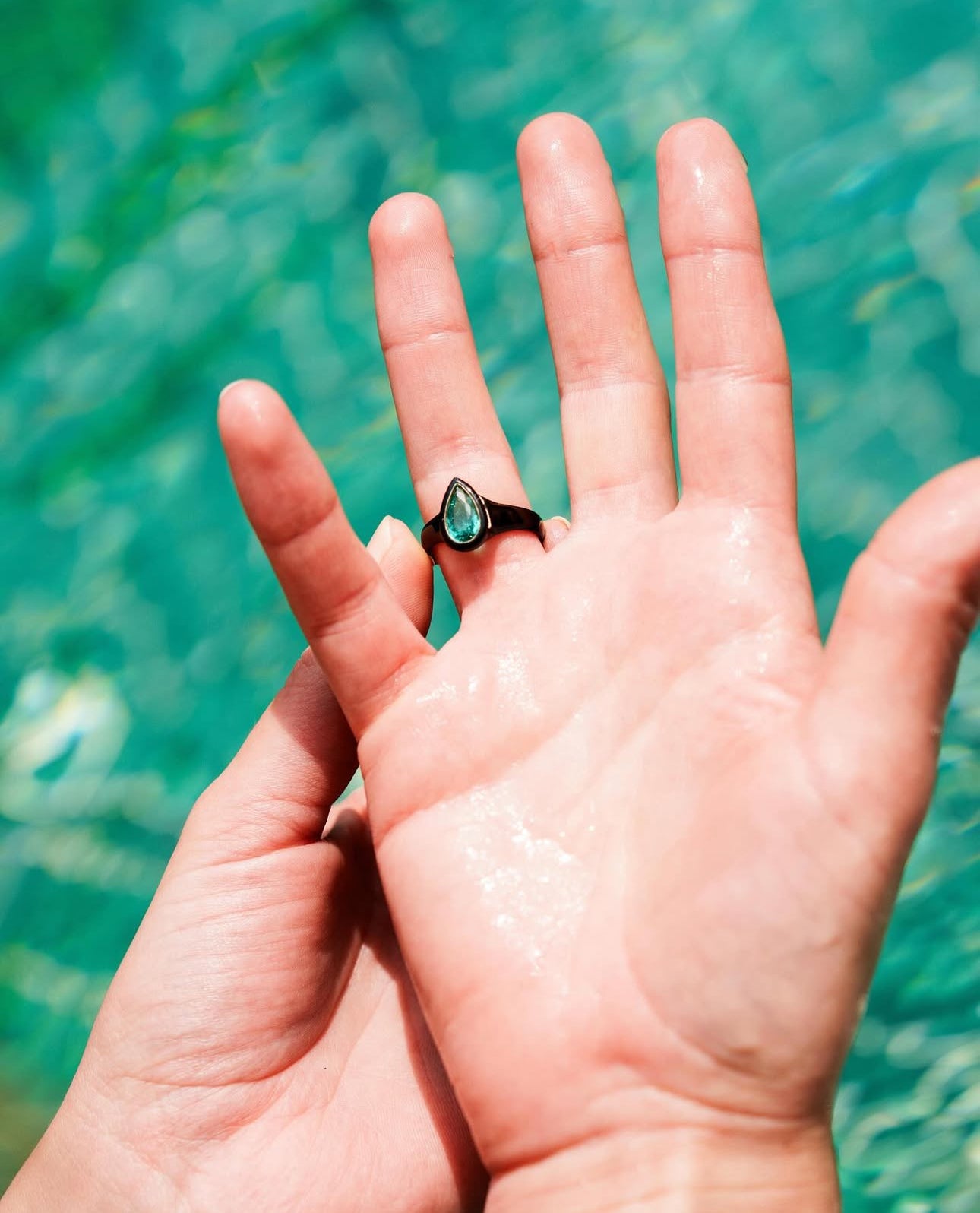 Paraiba Brasiliana