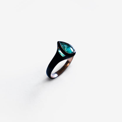 Paraiba Brasiliana